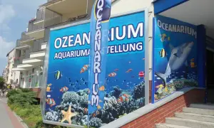 Ile kosztuje bilet do oceanarium w Kołobrzegu? Ceny i zniżki