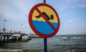 Gdzie sinice w Bałtyku? Sprawdź niebezpieczne miejsca do kąpieli