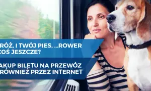 Jak kupić bilet PKP dla psa przez internet bez zbędnych komplikacji
