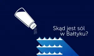 Dlaczego Bałtyk jest słabo zasolony? Odkryj zaskakujące przyczyny