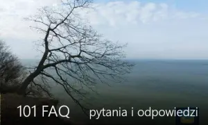 Czy w Jastrzębiej Górze jest Biedronka? Sprawdź najbliższą lokalizację