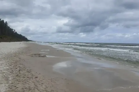 Plaża nad Bałtykiem z piaszczystym brzegiem, lasem sosnowym i wzburzonym morzem pod zachmurzonym niebem.