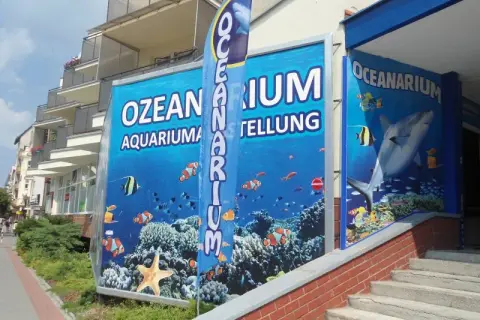 Ile kosztuje bilet do oceanarium w Kołobrzegu? Ceny i zniżki