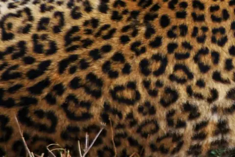 Zoo Gdańsk - dowiedz się, czy możesz wejść z psem i uniknąć rozczarowania