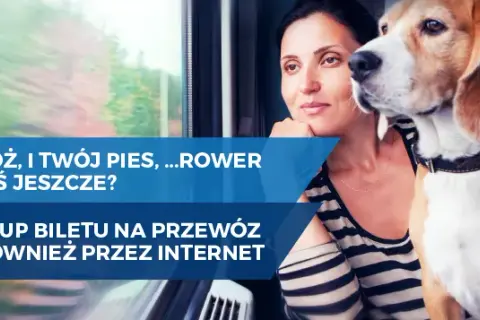 Jak kupić bilet PKP dla psa przez internet bez zbędnych komplikacji