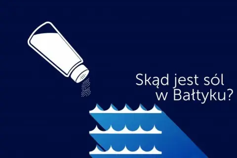 Dlaczego Bałtyk jest słabo zasolony? Odkryj zaskakujące przyczyny