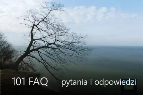 Czy w Jastrzębiej Górze jest Biedronka? Sprawdź najbliższą lokalizację