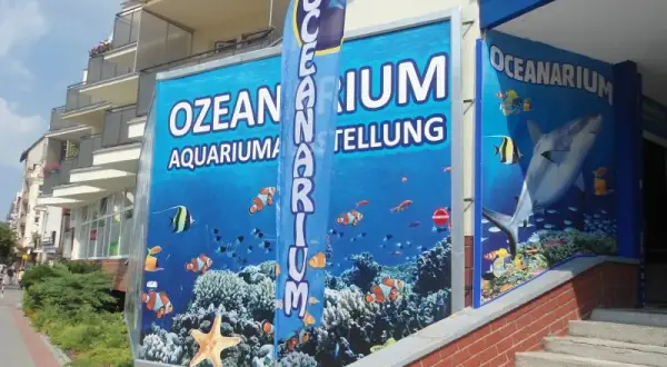 Ile kosztuje bilet do oceanarium w Kołobrzegu? Ceny i zniżki