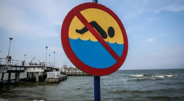 Gdzie sinice w Bałtyku? Sprawdź niebezpieczne miejsca do kąpieli