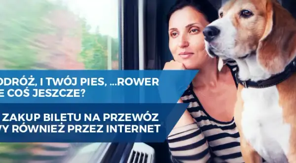 Jak kupić bilet PKP dla psa przez internet bez zbędnych komplikacji