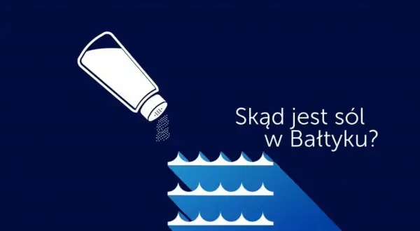 Dlaczego Bałtyk jest słabo zasolony? Odkryj zaskakujące przyczyny