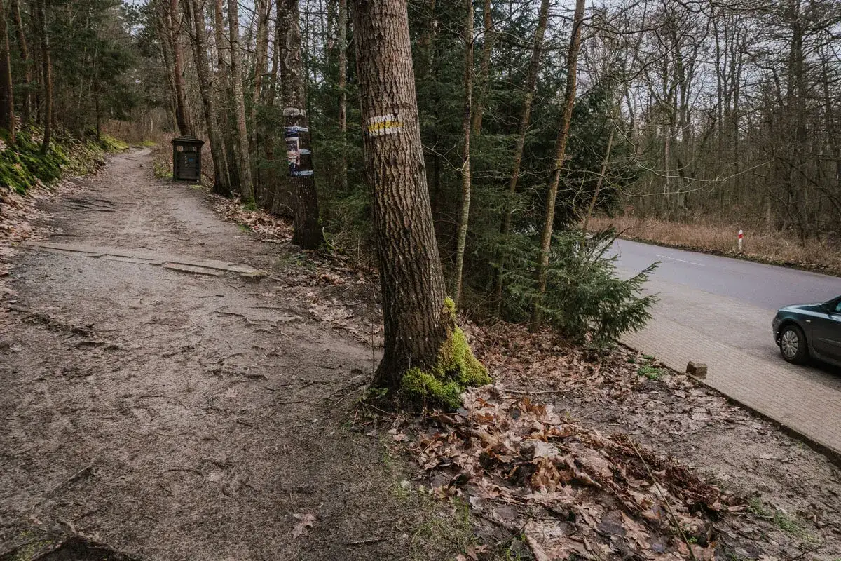 Leśna ścieżka, znak żółty na drzewie, droga i samochód. To może być część trasy przekopu Mierzei Wiślanej.