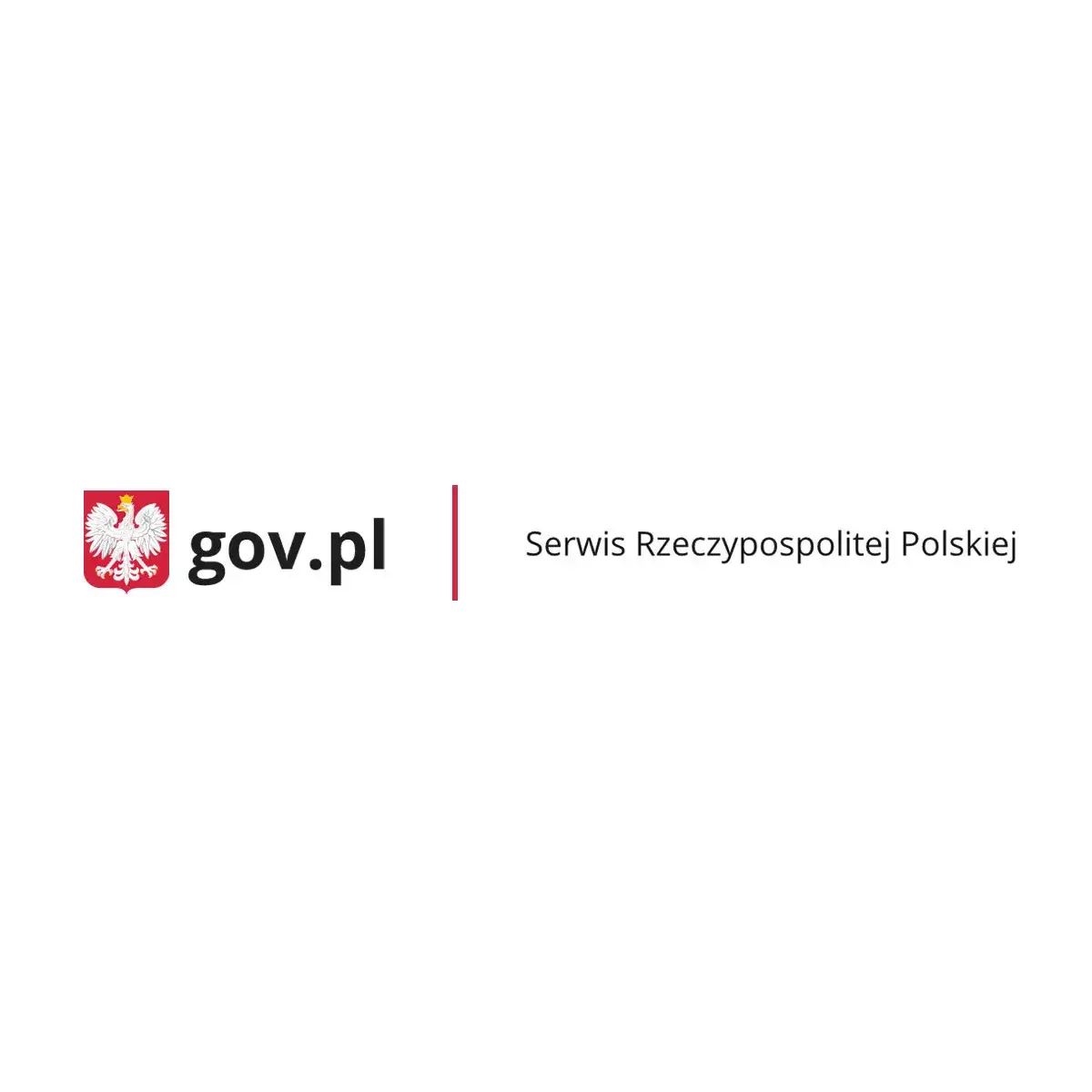 Zdjęcie Ile trwa wydanie paszportu? Poznaj czas oczekiwania i przyczyny opóźnień