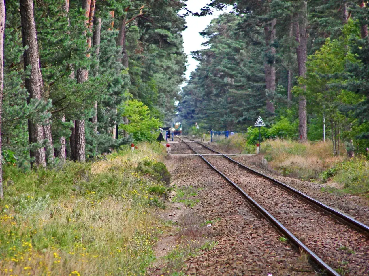 Zdjęcie Jak dojechać na Hel pociągiem - sprawdź rozkład i ceny biletów
